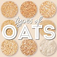 Oats (Dalya)